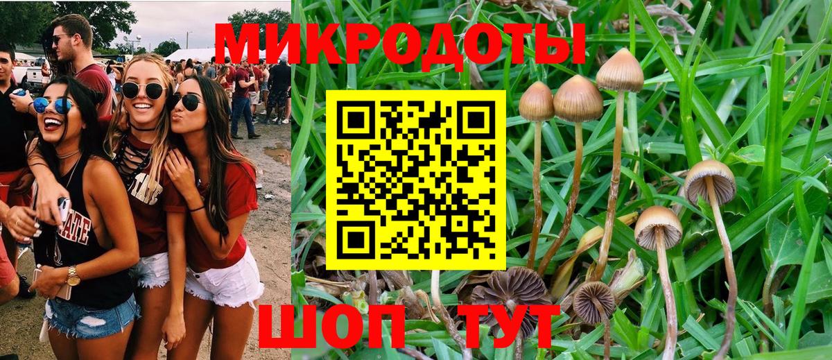 Дзержинск  Псилоцибиновые грибы Magic Shrooms  Вход с VPN 